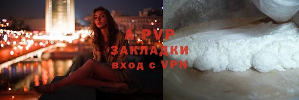 не бодяженный Бородино
