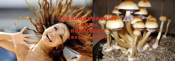 PSILOCYBIN Балахна