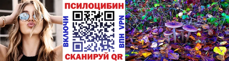 где купить наркоту  Нерюнгри  Псилоцибиновые грибы Cubensis 